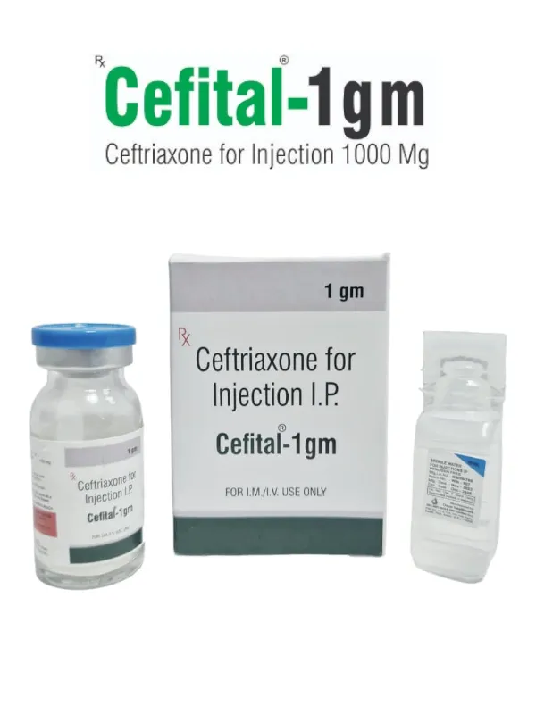 Cefital-1gm