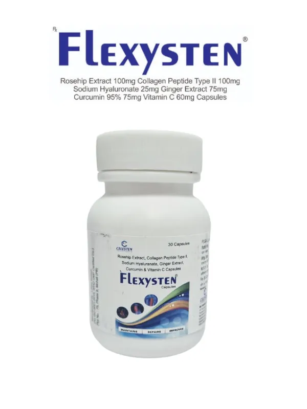 Flexysten